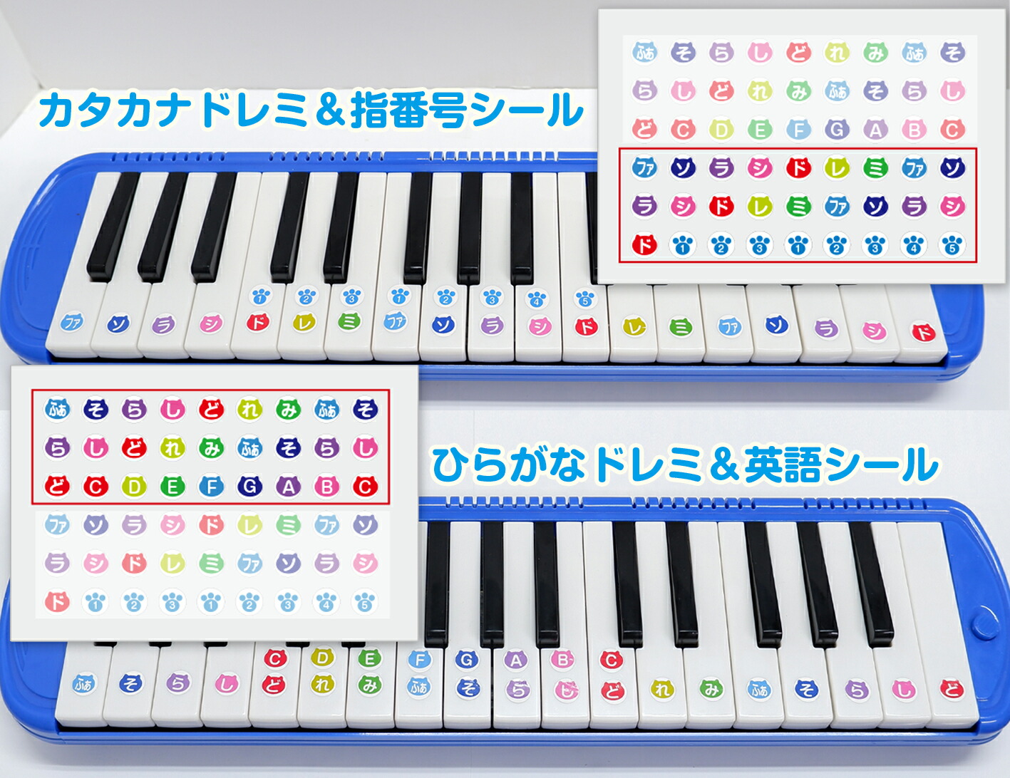 楽天市場】ドレミシール 鍵盤シール ドレミ鍵盤シール 鍵盤ハーモニカ