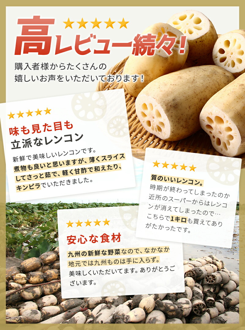 楽天市場】佐賀れんこん（蓮根・レンコン） 300g 1kg 1箱(4kg) 佐賀産