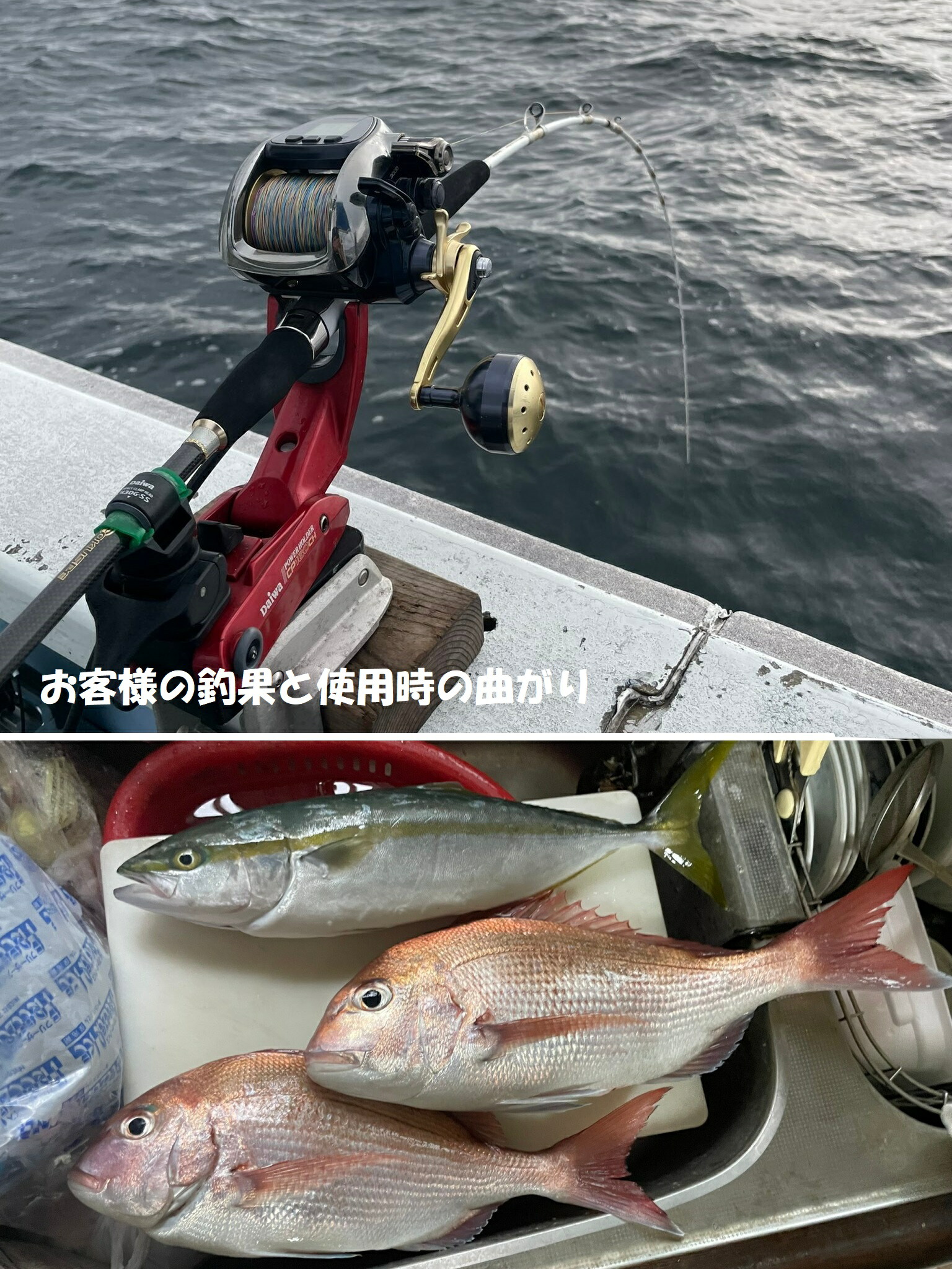 楽天市場】超軟調ムーチング真鯛 GokuEvolution サモトラケ250 (30-100