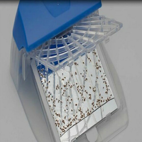 楽天市場】アース・ペット 電子ノミとりホイホイ 本体セット 粘着