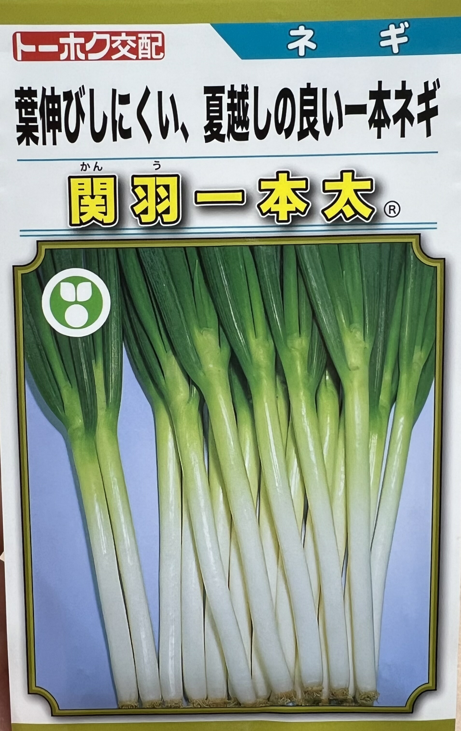 今期物 ネギ種 関羽一本太 ペレット5000粒 ×2袋セット② 今期物 ネギ種