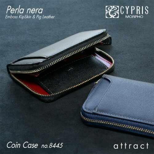 コロンビア産 キプリスモルフォ 99mm コロンビア産 キプリスモルフォ