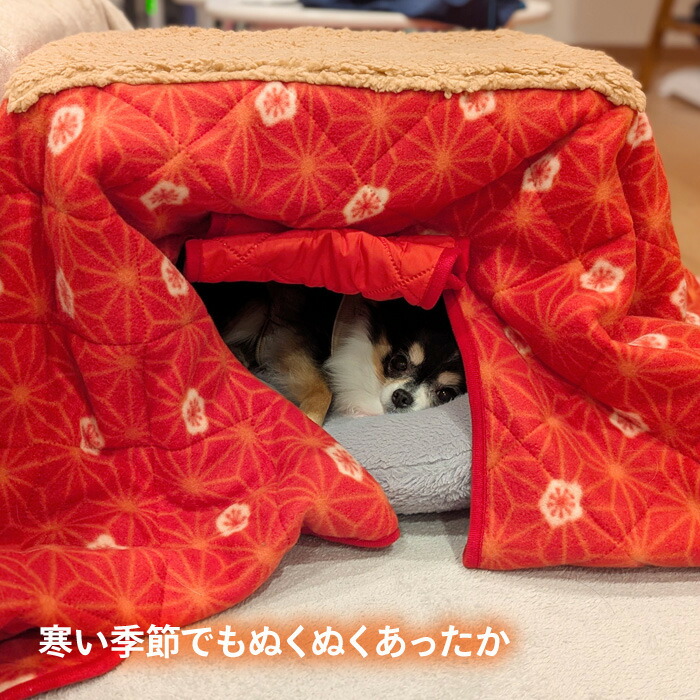 楽天市場】ペット こたつ 猫 犬 ペット用コタツ スリット窓付き 入り
