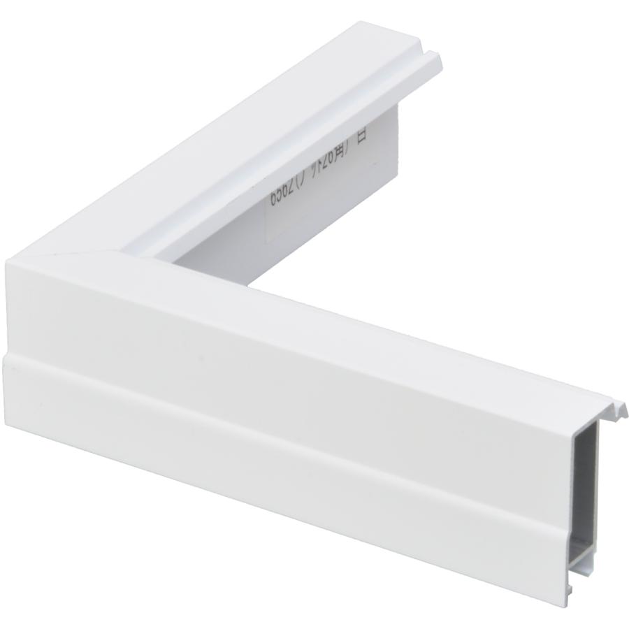 F100号 仮額縁 ×2 油彩 アクリル キャンバス コア ホワイト | 仮縁・仮