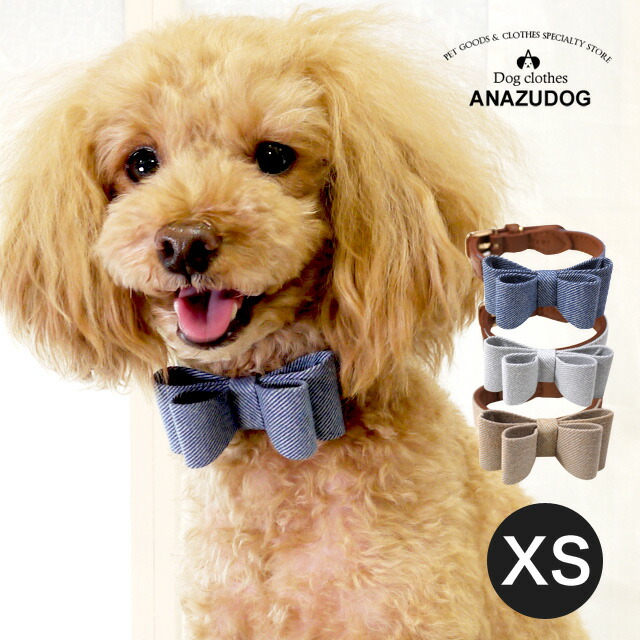 楽天市場】アザレプロダクツ セゾンカラーベルの通販