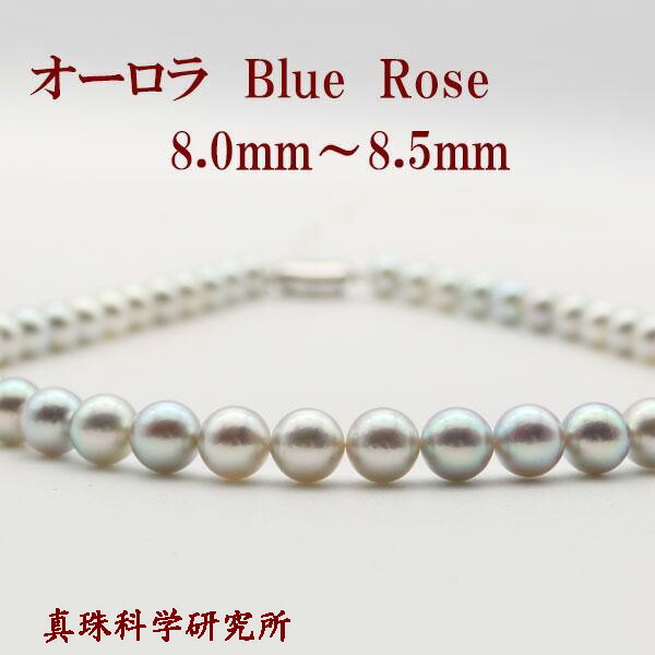 アクリルパネル 真珠 アクリルパネル 真珠 Amazon.co.jp: ZXゼク