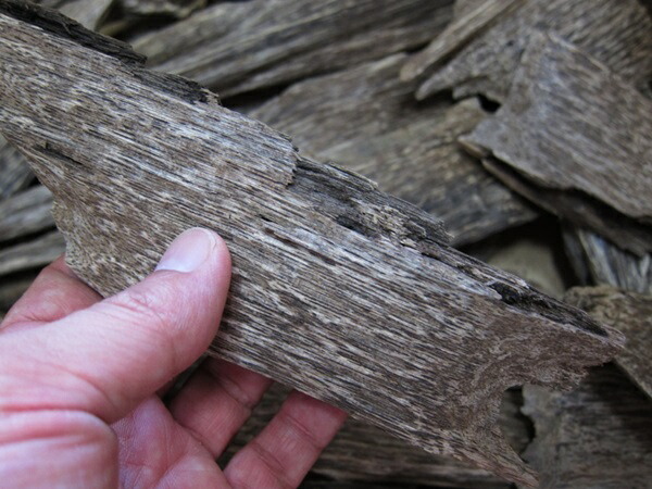 楽天市場】ベトナム産高級沈香 100g量り売り【中高ランク】栽培 沈水