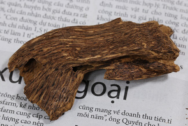 楽天市場】天然沈香【高ランク甘味 10g】量り売り 沈水香木 香木 沈香