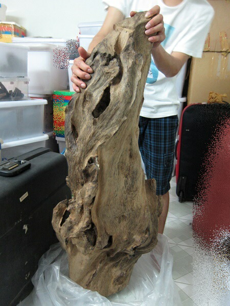 L059 全沈水 極上緑油伽羅沈香 重さ:12g（高ランク本物保証） 高級線香