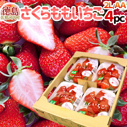 楽天市場】徳島県 ”佐那河内産 さくらももいちご” 秀品2L or 大粒AA