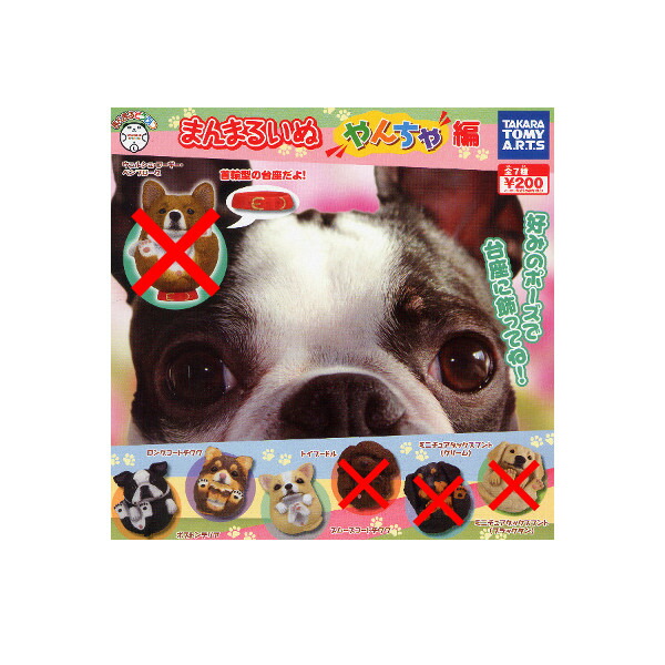 楽天市場】まんまるどうぶつまんまるいぬ やんちゃ編より 3種タカラ