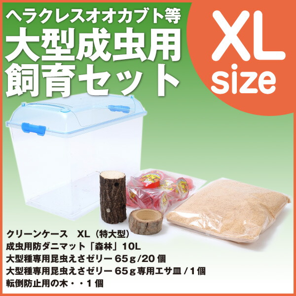 楽天市場】むしや本舗 カブトムシ・クワガタ成虫 飼育セット 飼育