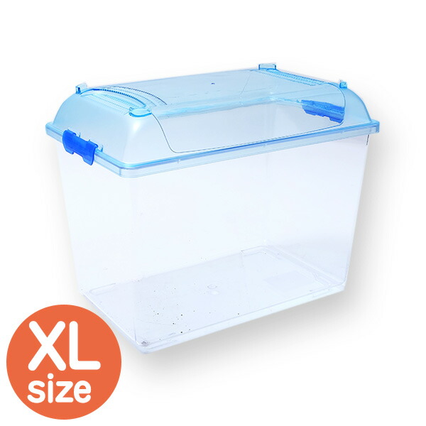 楽天市場】むしや本舗 カブトムシ・クワガタ飼育用 プラケース