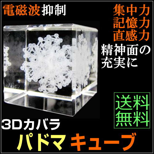 楽天市場】お得クーポン配布中【ポイント20倍！】3Dカバラ・パドマ