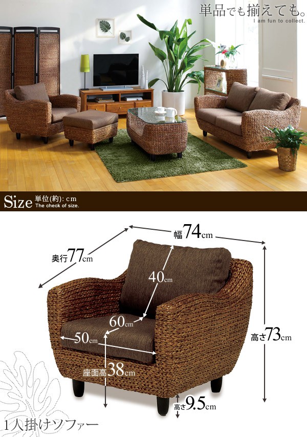 楽天市場】【3/1限定☆10％クーポン配布中】ウォーターヒヤシンス 1人