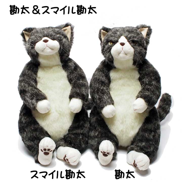 楽天市場】ぬいぐるみ 猫 ねこ 勘太＆スマイル勘太 カドリー Cuddly