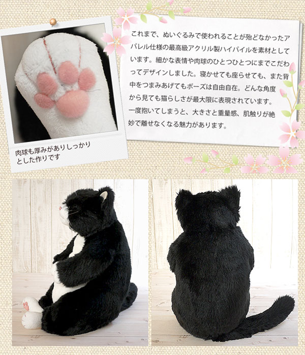 楽天市場】猫 ねこ ぬいぐるみ 甚五郎 カドリー Cuddly 癒し 猫の