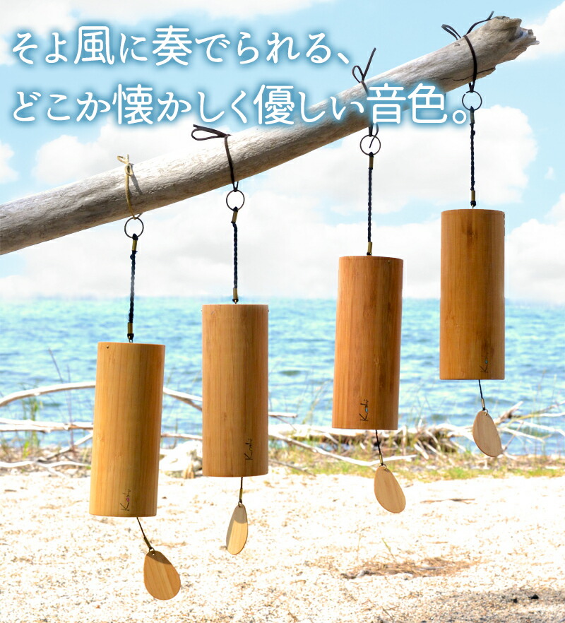 楽天市場】【100セット限定特価】【楽天最安値に挑戦】【送料無料