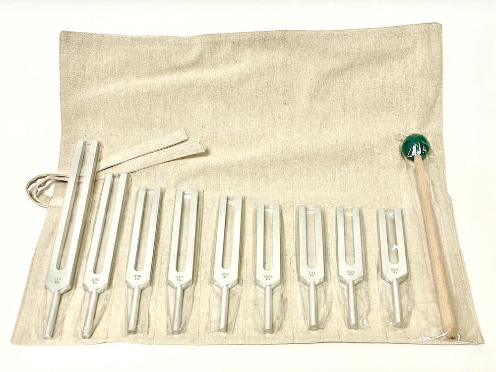 楽天市場】【100セット限定特価】【楽天最安値に挑戦】【送料無料