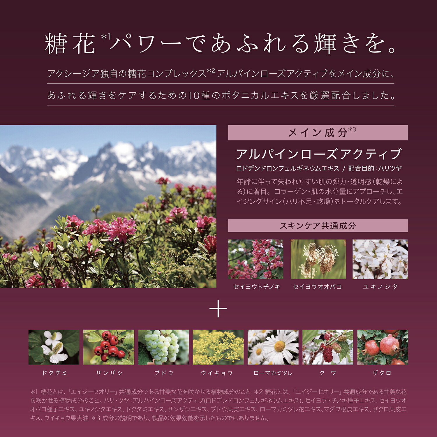 楽天市場】クレンジング｜エイジーセオリー ディープクレンジング