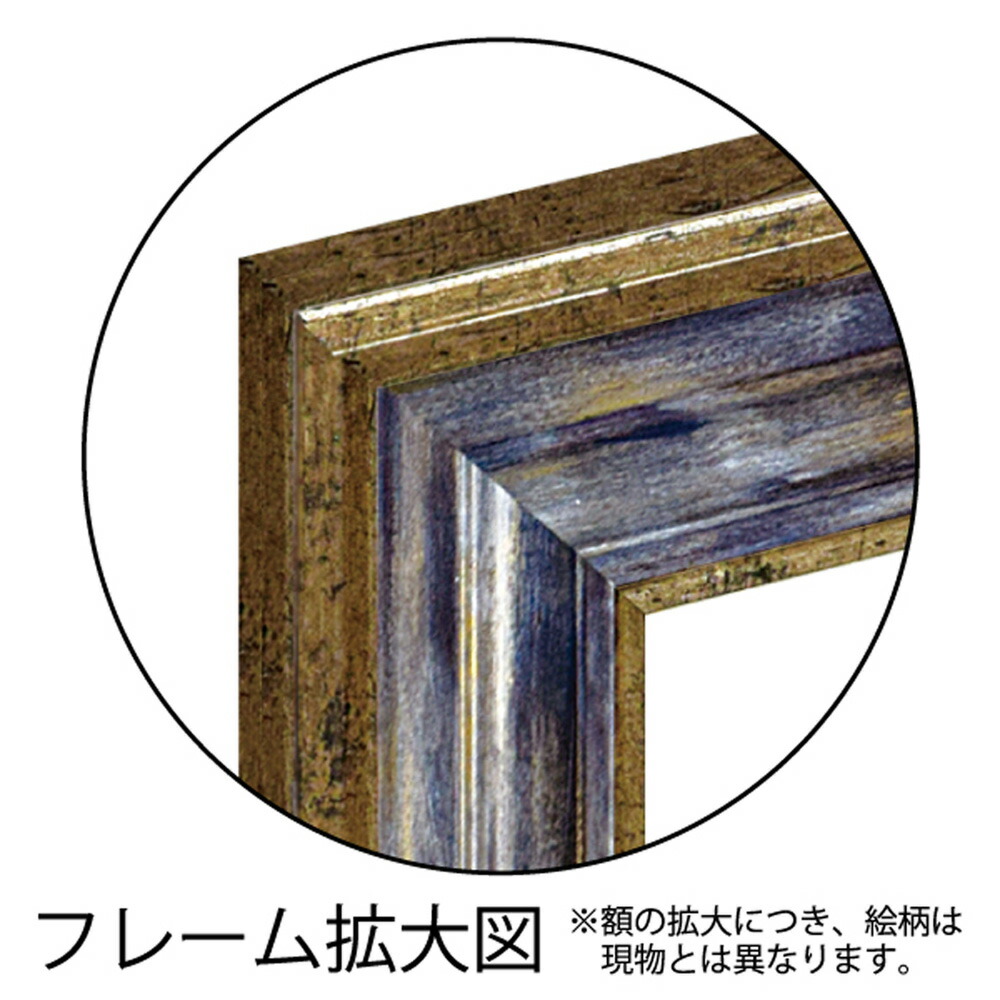 絵画 シャーリーノヴァック 花フラワーインテリア壁掛け3Lサイズ 絵画