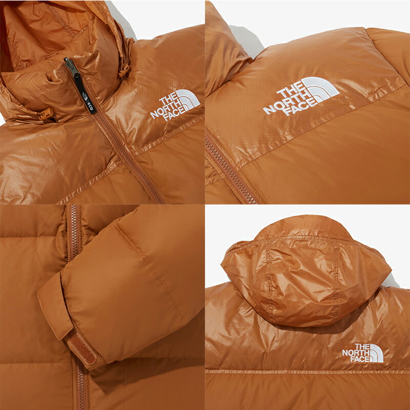 楽天市場】☆送料無料☆THE NORTH FACE☆M'S 1996 ECO BLUE NUPTSE