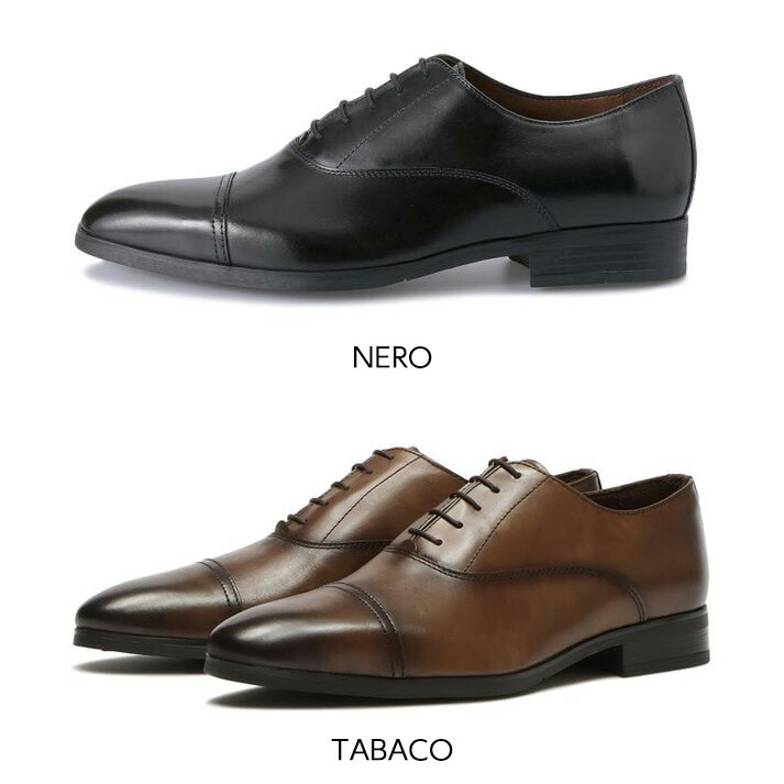 楽天市場】【G.C.MORELLI】 ジャンカルロモレリ S-TIP ストレート