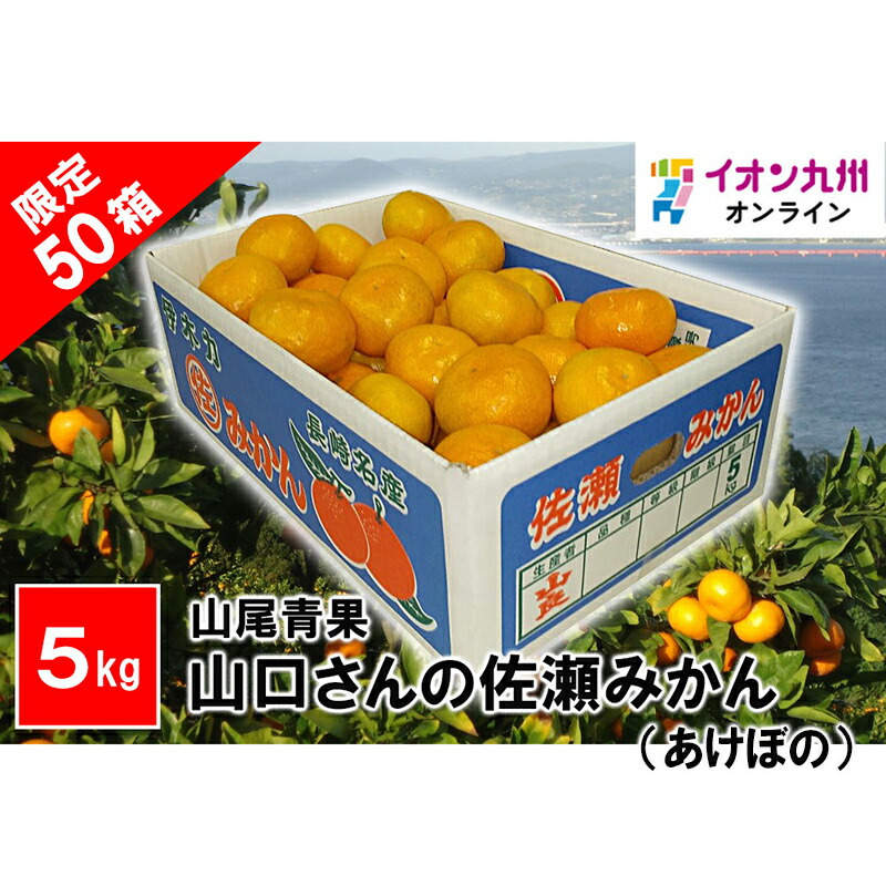 楽天市場】山口さんの佐瀬みかん（あけぼの） 5kg みかん ミカン 蜜柑