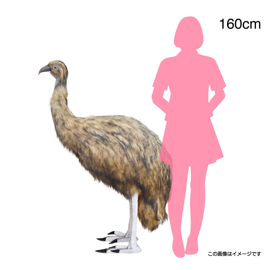 楽天市場】HANSA 2676 エミュー130 全長：130cm EMU BH2676 ぬいぐるみ