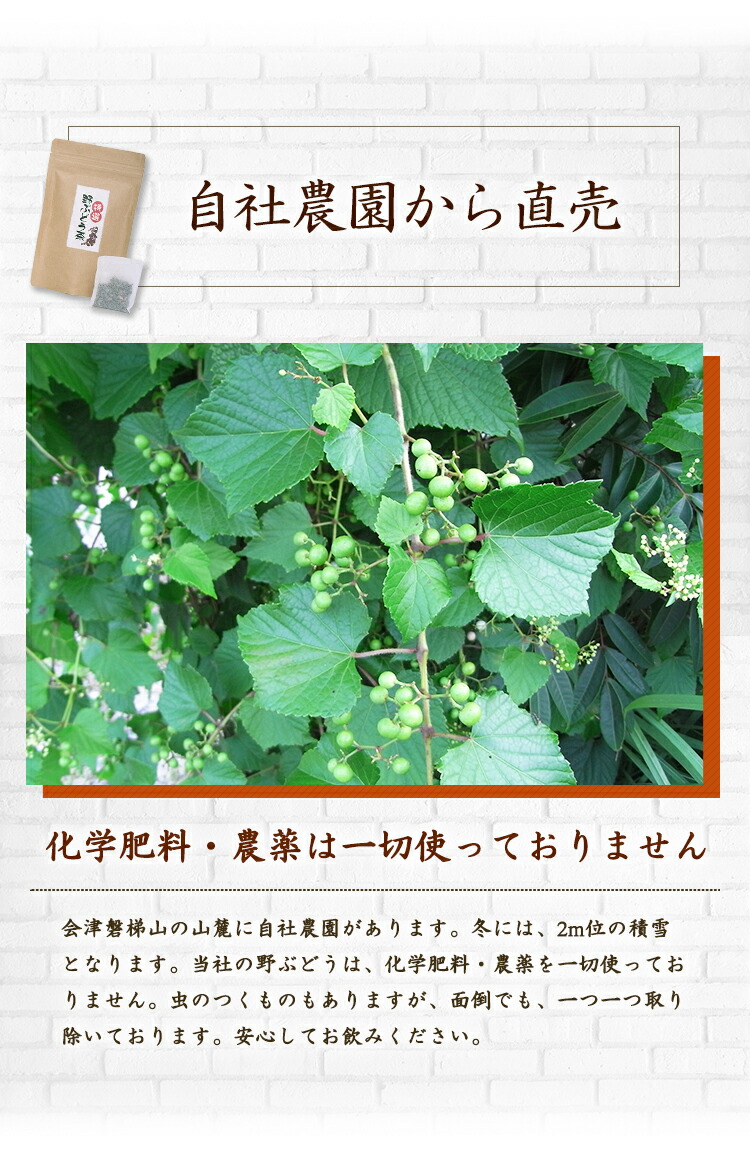 楽天市場】『特選 野ぶどう茶（馬ぶどう茶)』3g×15バック入り×4袋