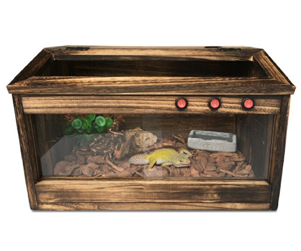 楽天市場】スーパーセール10％OFF 3/11終了 【在庫限り】【人気商品