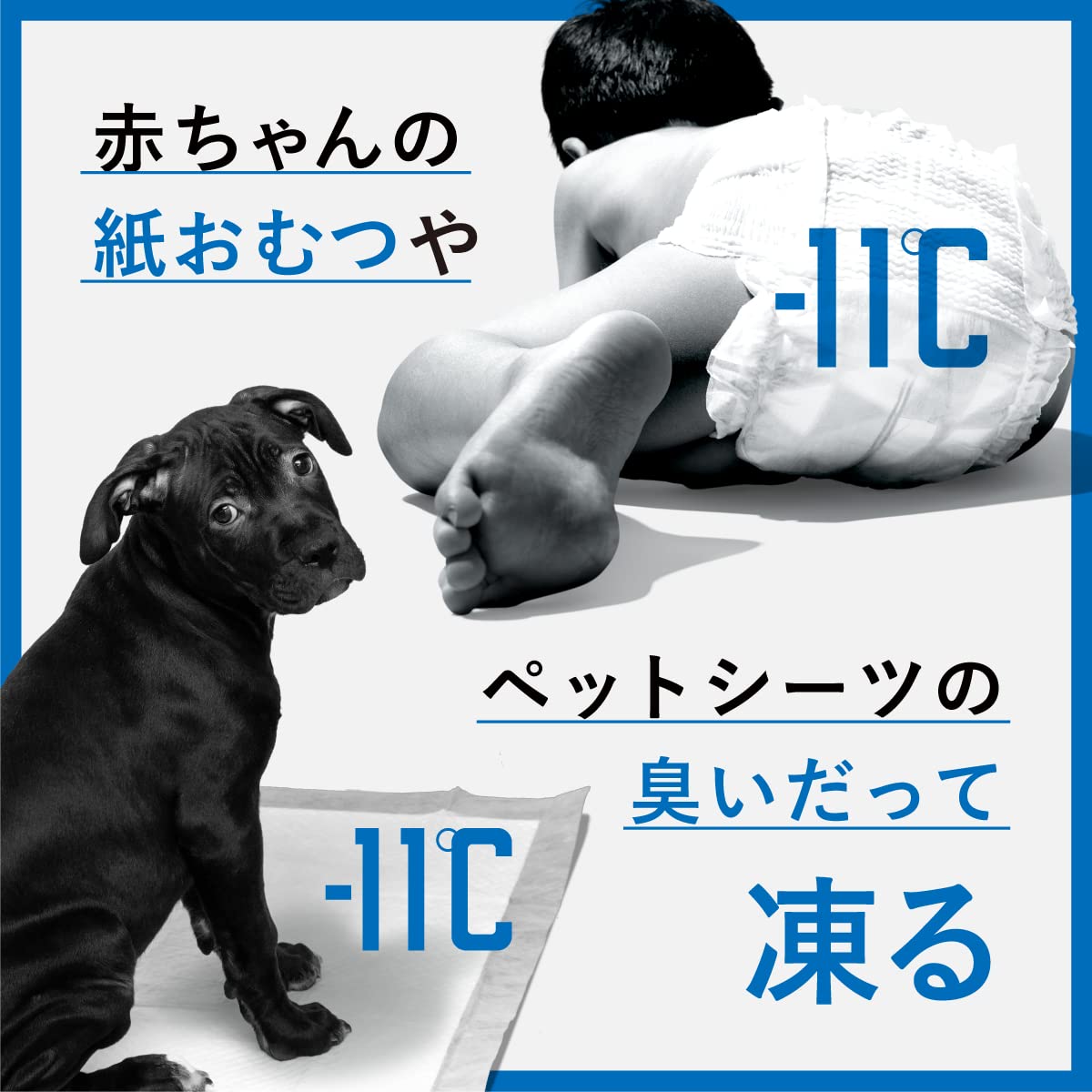 楽天市場】-11℃ CLEAN BOX クリーンボックス 20L NCB1-B20-S