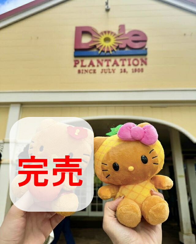 楽天市場】3月2日（月）☆発送可能☆希少限定商品【早いもの勝ち