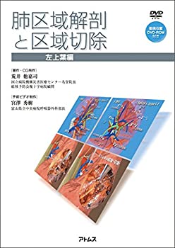 楽天市場】イラストで学ぶ系統的肺区域切除術区切アトラスの通販