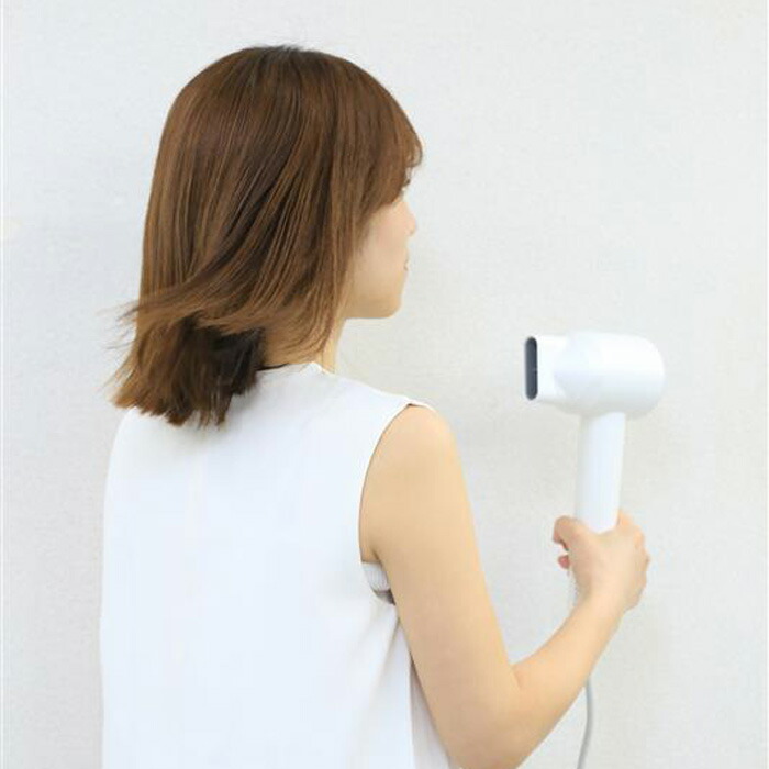 楽天市場】【即納】ROVESS 高速ヘアードライヤー マイナスイオン VS