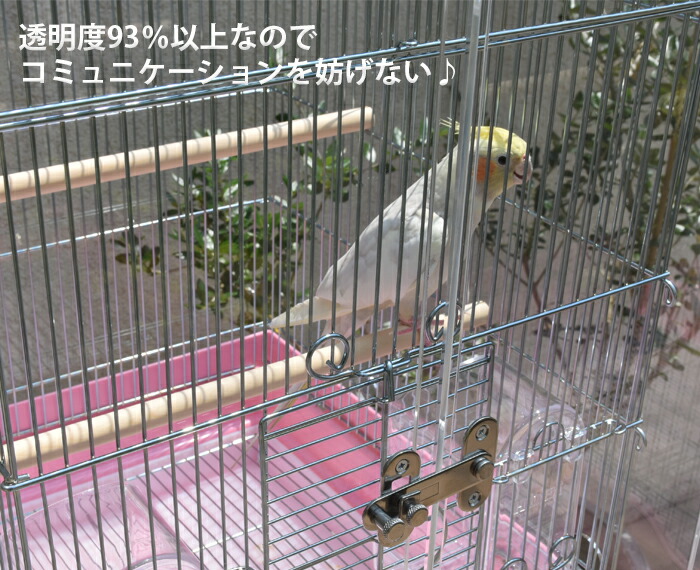 楽天市場】【プレミアム】W595×H595×D545 アクリル バードケージ