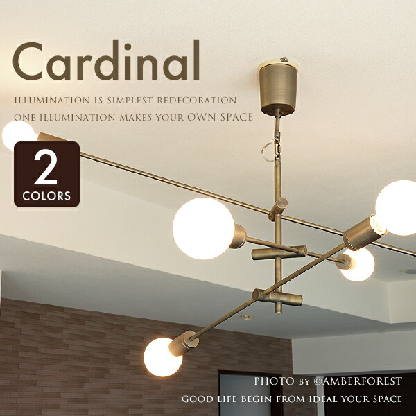 楽天市場】CARDINAL カーディナル - DI CLASSE ディクラッセ