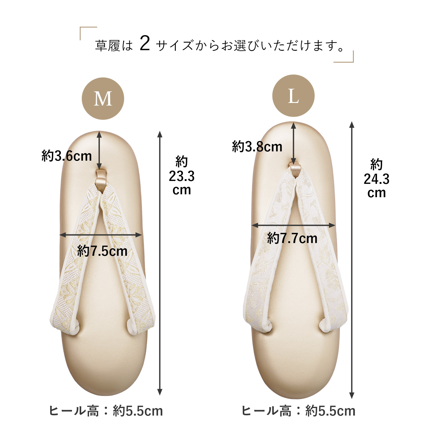 楽天市場】草履バッグセット レディース フォーマル 2点セット 3枚芯
