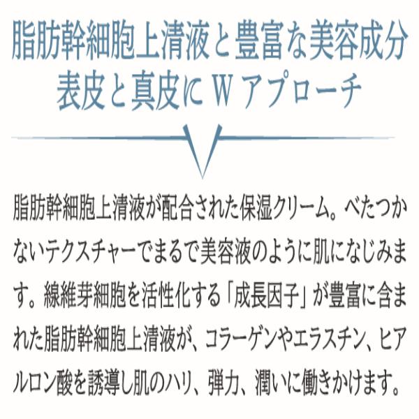 楽天市場】ヒロコサイエンス ステムプレミアムクリーム 60g 保湿