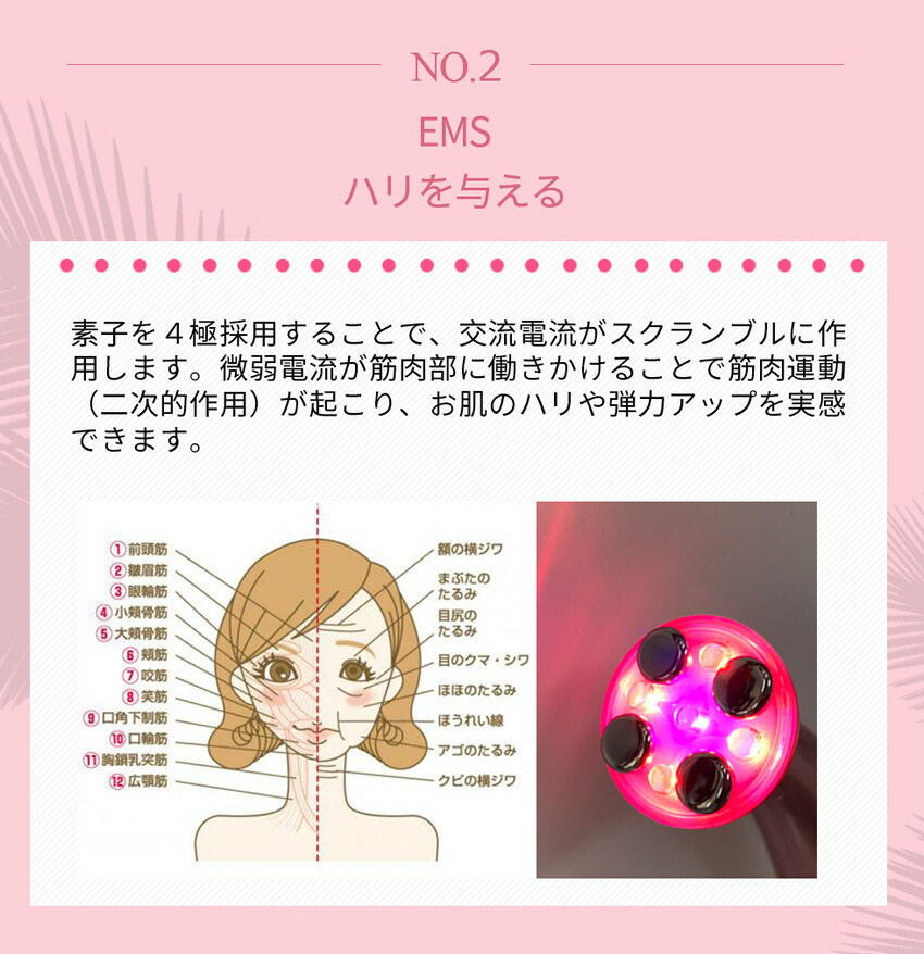 楽天市場】【2025年9月リニューアル版】plamine CLIONE FIT〜プラミネ