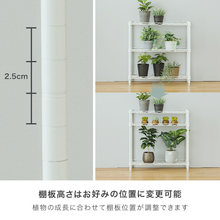 ☆noel☆様 多肉植物棚GAI-W43B 変更あり ☆noel☆様 多肉植物棚GAI