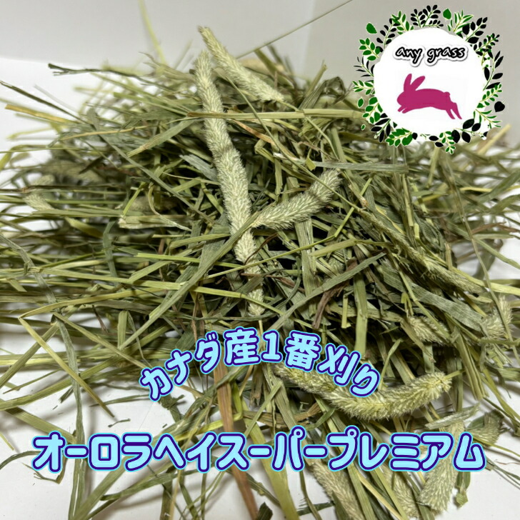 楽天市場】【any grass】R6年 カナダ産 チモシー 1番刈り オーロラヘイ