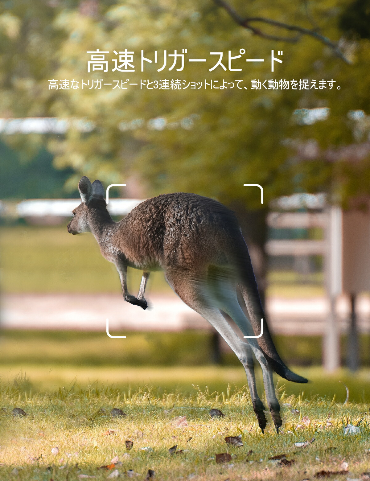 楽天市場】監視カメラ トレイルカメラ 3000万画素 防犯カメラ IP66