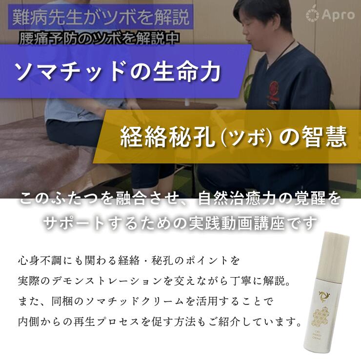 楽天市場】CBDエナジー(ソマチッド)クリーム30ml【プレゼント1 ツボ