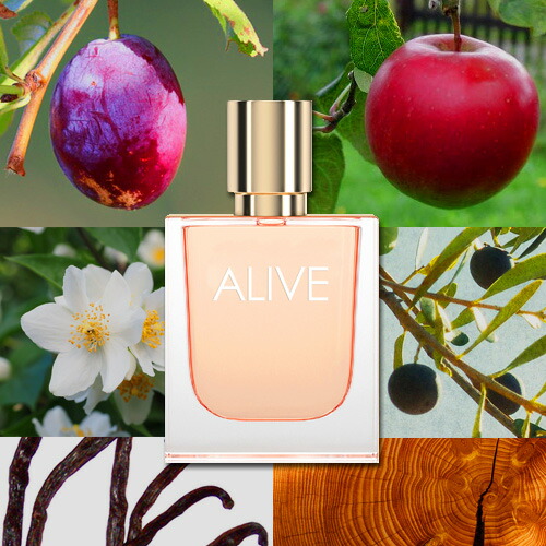 楽天市場】【先着限定☆最大1200円OFFクーポン（3/4 20:00