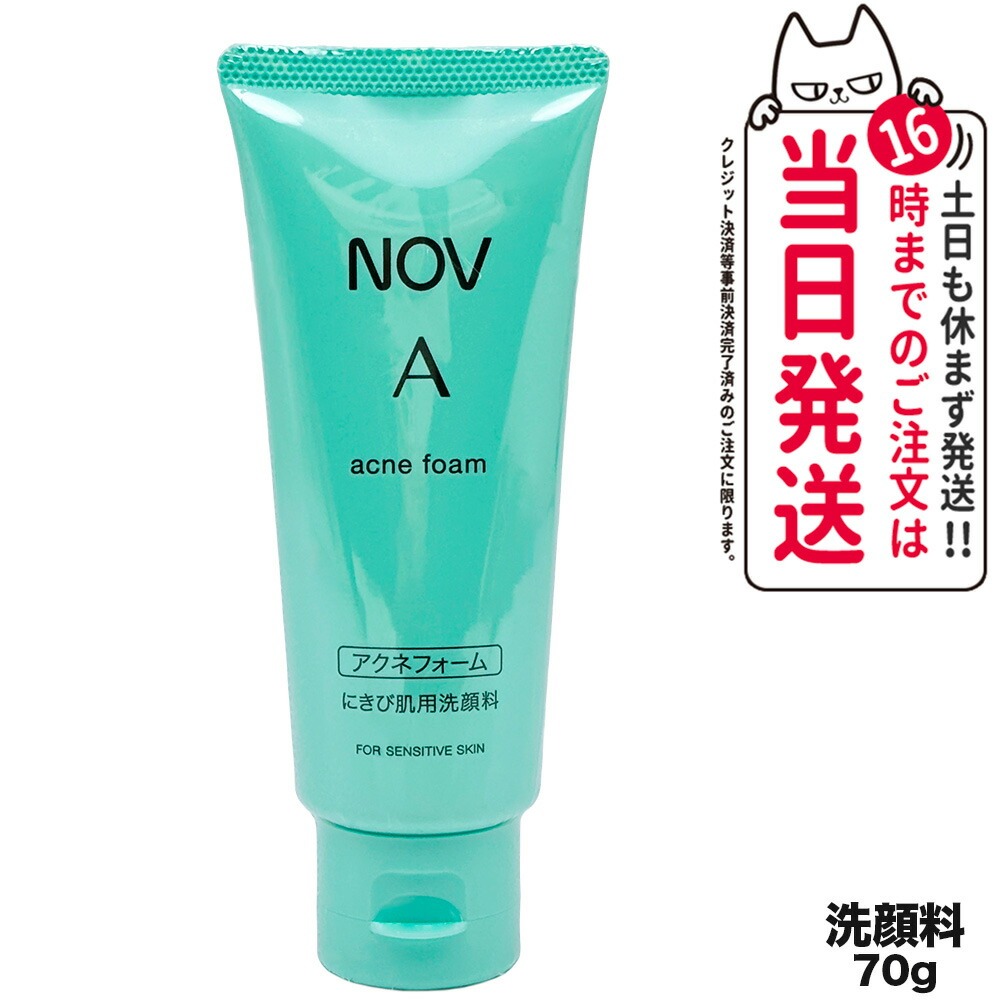 楽天市場】【国内正規品】常盤薬品 NOV ノブ A アクネフォーム 70g