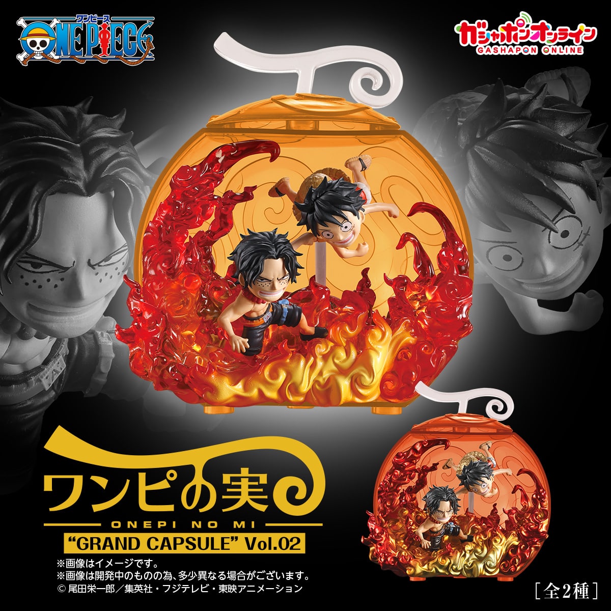 楽天市場】【3月発売予定】 From TV animation ONE PIECE ワンピの実