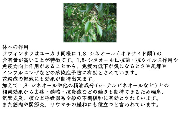 楽天市場】ラヴィンサラ ラヴィンツァラ ラベンサラ 精油 10ml 免疫力