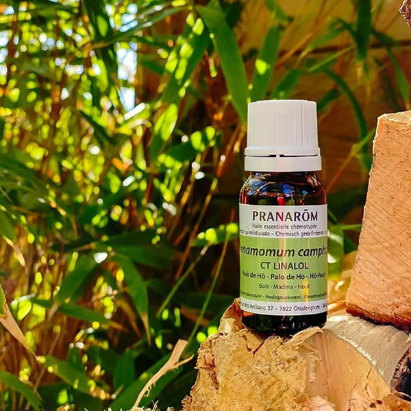 楽天市場】プラナロム ホーウッド 10ml プラナロム アロマオイル