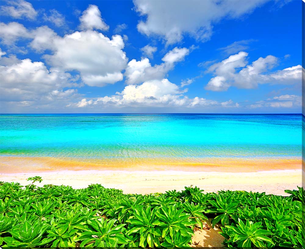 楽天市場】風景写真パネル 沖縄 波照間島 ニシ浜 鮮やかな緑と